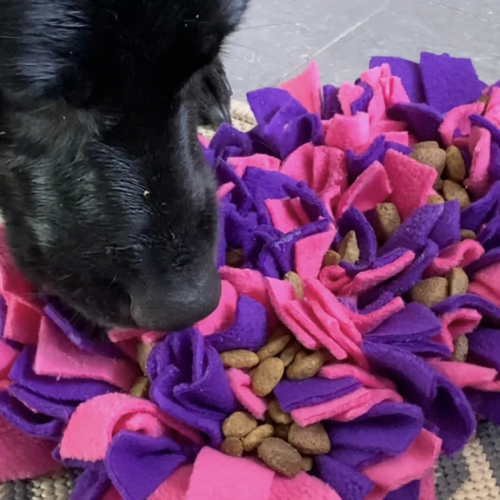 Screenshot 2026-04-23 at 08.38.14