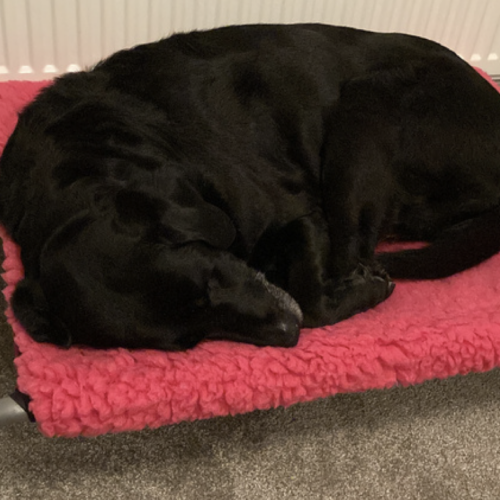 Screenshot 2026-04-23 at 08.38.20